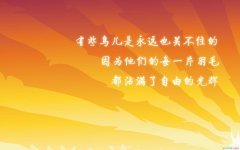 关于不完美的名言
