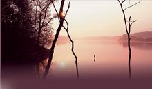 关于红尘的唯美句子23句