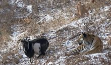 暗示友谊破裂的句子