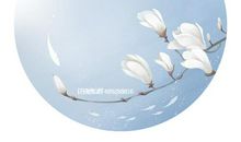 儿子对母亲情深的句子