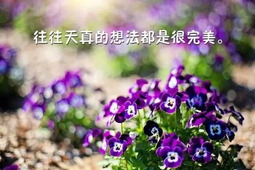 漂亮的句子