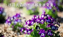 语言优美的句子