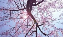 很累但又很开心的诗句句子