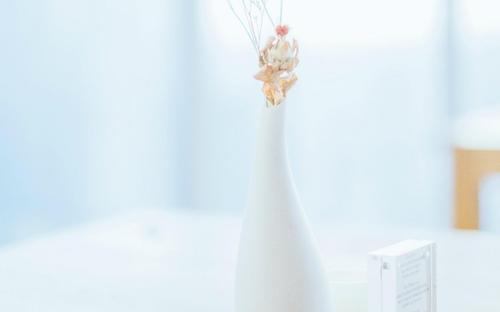 以友谊和亲情为话题的句子