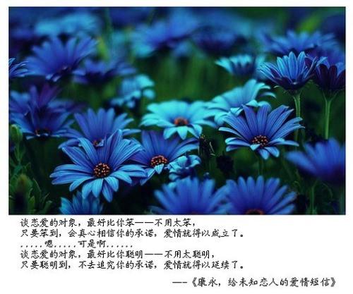 最佳爱情短信
