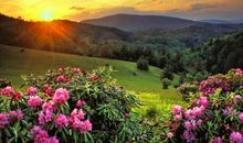 描写慢慢长大亲情的句子