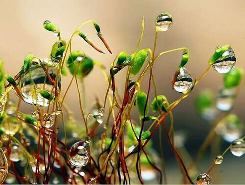 24.秋天的雨，温柔，豁达，乐观。在这个季节的皱纹中，我们永远不会掩盖丰盈，总是在收成之后，在时间和距离上喊出鸟和昆虫的歌声，使这四个领域充满了活泼的音乐。