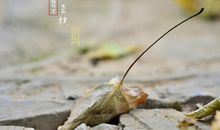 关于立秋的古诗 描写立秋的诗句