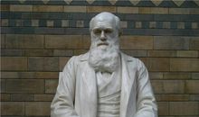 达尔文经典语录大全