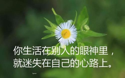 微信时刻报价