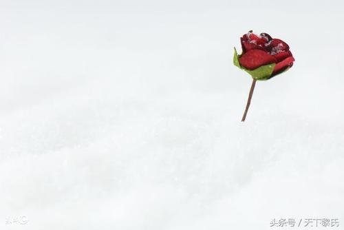 14.我不相信永恒的爱，因为我只会越来越爱你。因为我爱你，所以我知道爱的甜蜜。除了爱你，我想不出让我活着的理由。我要成为围绕你的柔和的风。