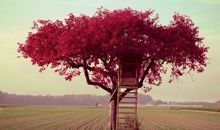 震撼人心的励志句子(图)