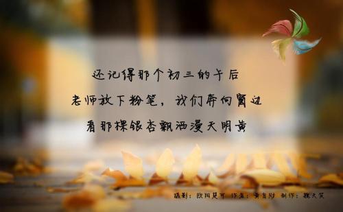 乐观报价