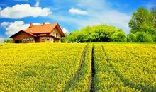 形容温暖亲情的句子