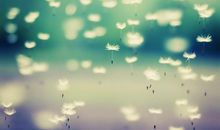 关于亲情之旅的句子