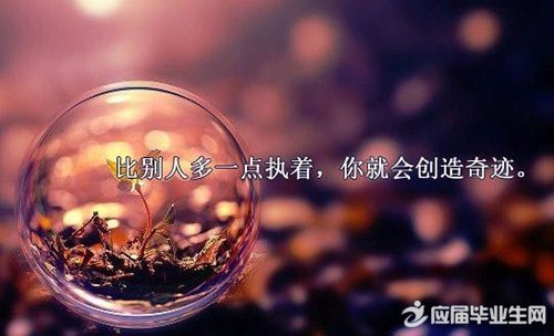 乐观报价