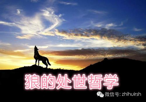 狼图腾座右铭