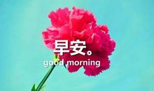 给女神早安的暖心句子 早安撩妹心语
