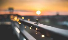 意志坚强的座右铭