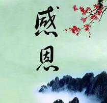 感恩节报价