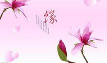 关于缘分的优美句子