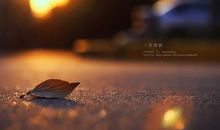 一句有哲理的座右铭