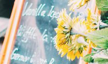 关于美丽的座右铭