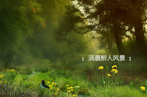 经典励志语录第三期 7