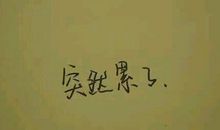 描写夫妻感情的句子