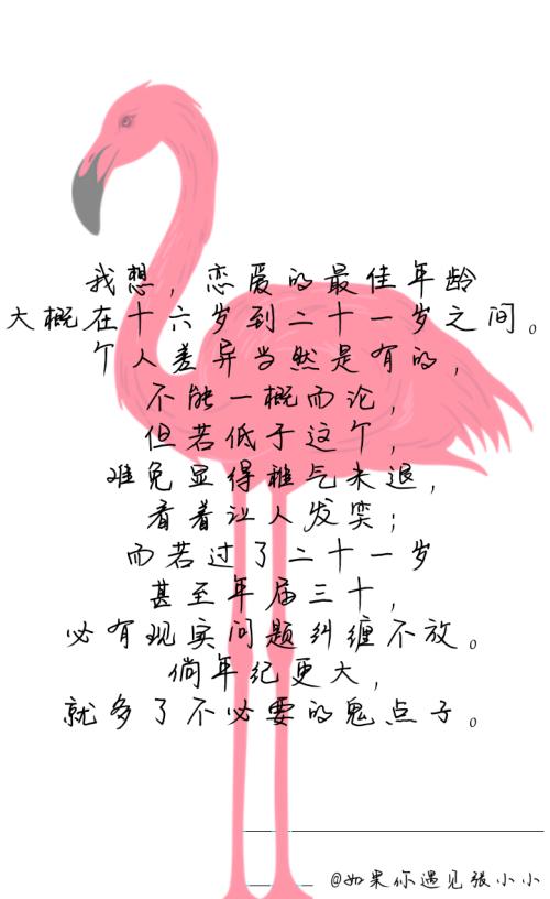 挪威森林报价