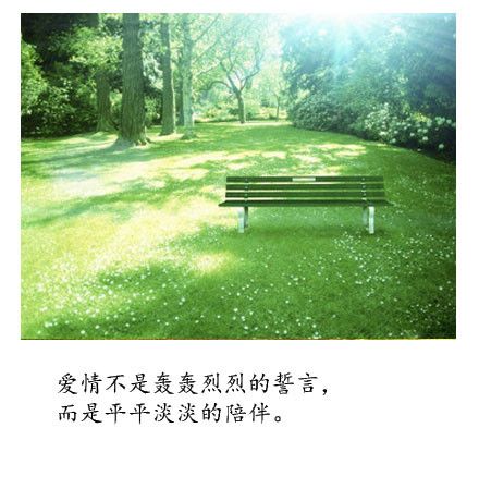 伴随句
