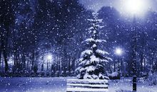 关于冬天优美的句子