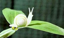 关于正能量句子