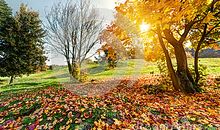 秋天的诗句大全 形容秋天的浪漫诗句