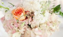 与亲情有关的古诗文句子