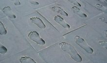 关于脚踏实地的座右铭