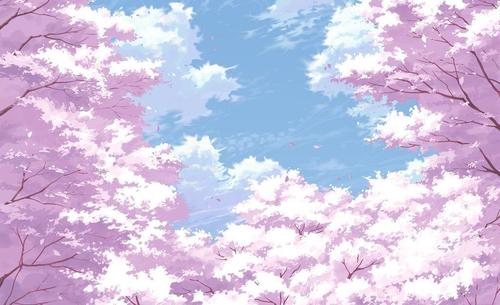 12.云华，我们意外遇见的樱花林，现在又下了毛毛雨。樱花落在雨中时，落下的不仅仅是眼泪。花瓣盛开，静静地飘在风中，不仅迷茫的眼睛被淹死，而且被湿的感觉。长期以来，人们还僵硬地站在那里。
