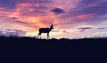 浮躁的心静沉淀句子