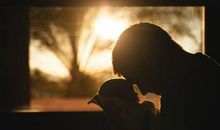 有关亲情的句子排序