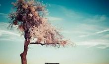 看了让人心静霸道的句子