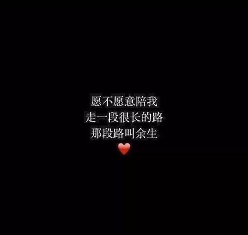 寻求宽恕