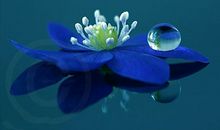 济群法师因果篇禅语20句