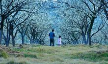 网络流行句子亲情