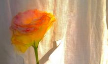 网易云音乐扎心伤感热评 那些伤感虐心的音乐热评