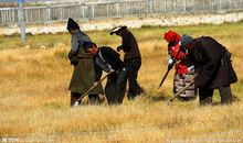 描写农民劳动的句子