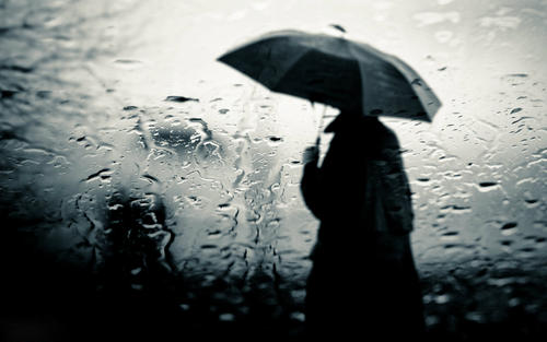 10.雨后，阳光露出笑脸，一条美丽的彩虹在草原上架起了一座美丽的桥。