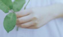 关于亲情触动的句子大全