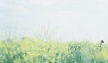 劝男朋友开心的句子 让男友开心的一句话