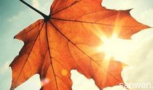 秋天关心问候短信