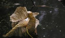 对男朋友很失望想分手的句子